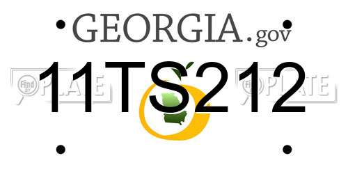 11TS212 Georgia License Plate