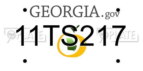 11TS217 Georgia License Plate
