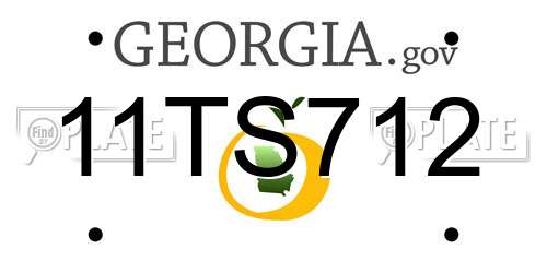 11TS712 Georgia License Plate