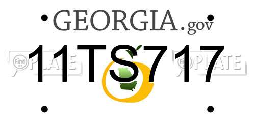 11TS717 Georgia License Plate