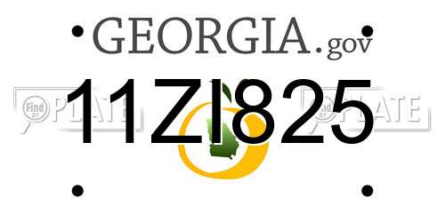 11ZI825 Georgia License Plate