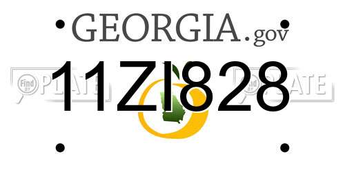 11ZI828 Georgia License Plate