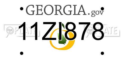 11ZI878 Georgia License Plate