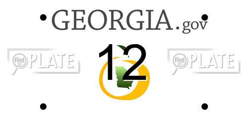 12 Georgia License Plate