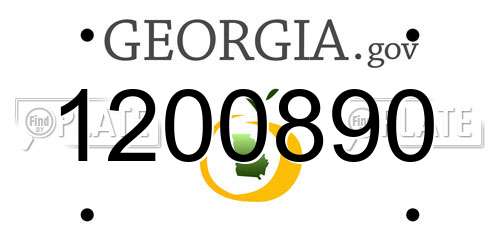 1200890 Georgia License Plate