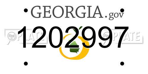 1202997 Georgia License Plate