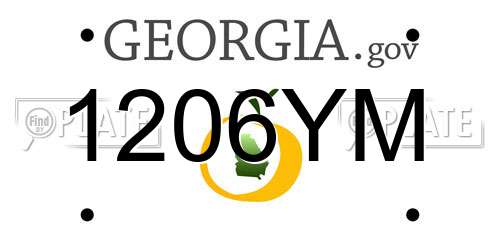 1206YM Georgia License Plate
