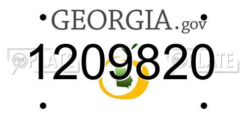 1209820 Georgia License Plate