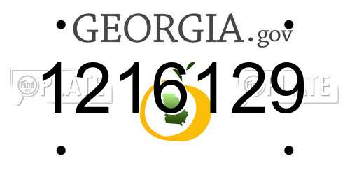 1216129 Georgia License Plate