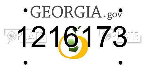 1216173 Georgia License Plate