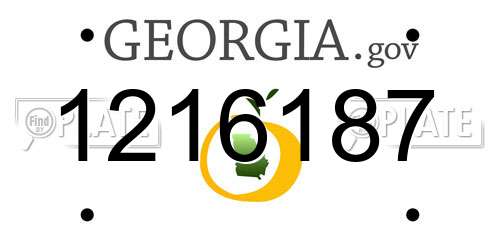 1216187 Georgia License Plate