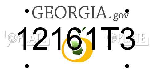 12161T3 Georgia License Plate