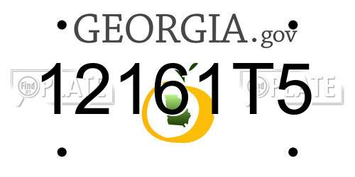 12161T5 Georgia License Plate