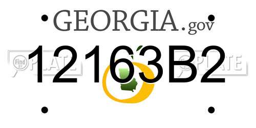 12163B2 Georgia License Plate