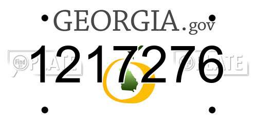 1217276 Georgia License Plate