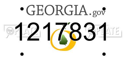 1217831 Georgia License Plate