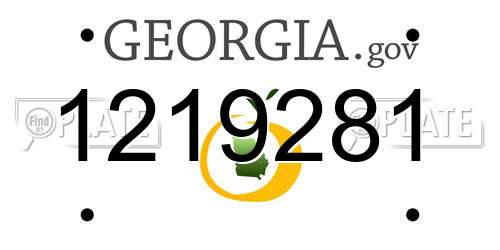 1219281 Georgia License Plate