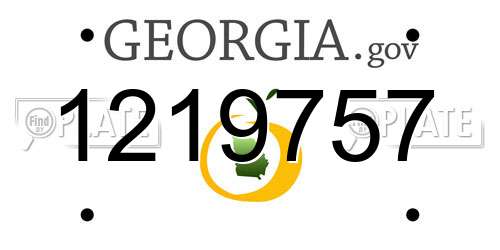 1219757 Georgia License Plate