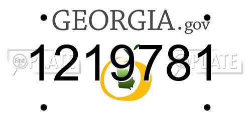1219781 Georgia License Plate