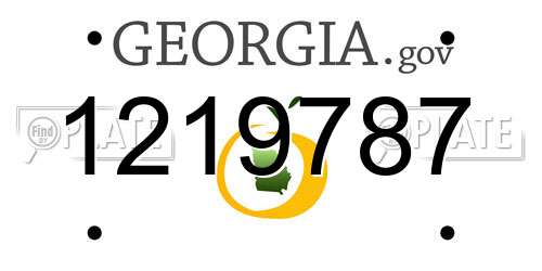 1219787 Georgia License Plate
