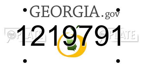 1219791 Georgia License Plate