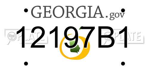 12197B1 Georgia License Plate