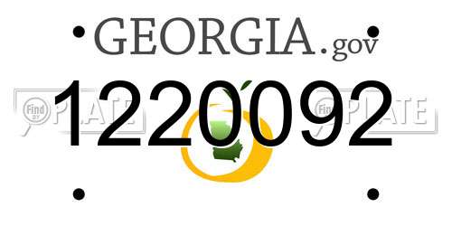 1220092 Georgia License Plate