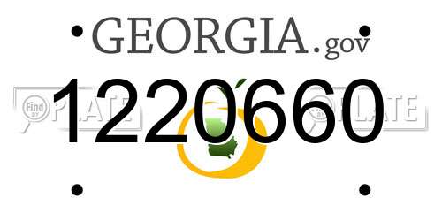 1220660 Georgia License Plate