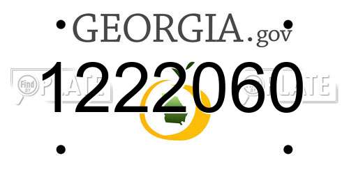 1222060 Georgia License Plate
