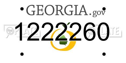 1222260 Georgia License Plate