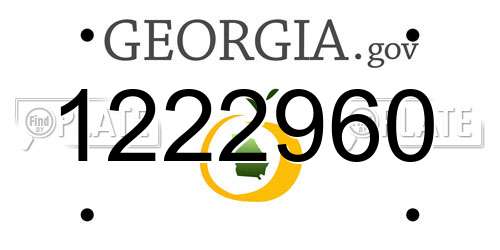 1222960 Georgia License Plate