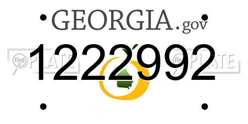 1222992 Georgia License Plate