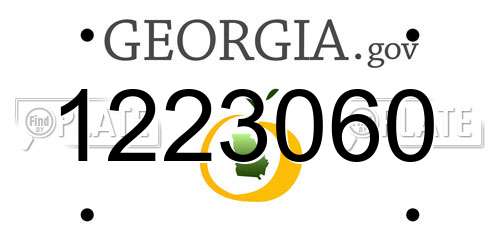 1223060 Georgia License Plate