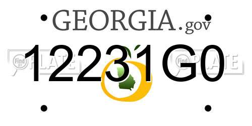 12231G0 Georgia License Plate