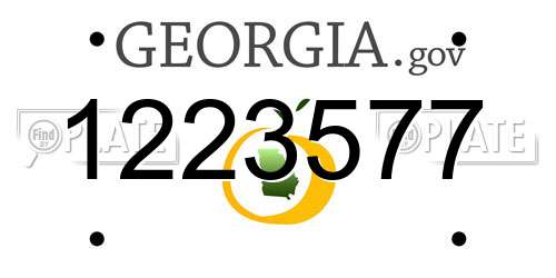 1223577 Georgia License Plate