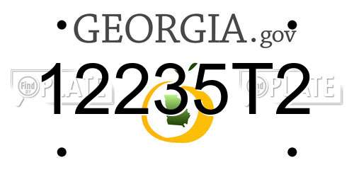 12235T2 Georgia License Plate