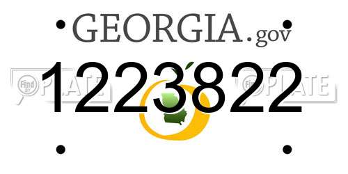 1223822 Georgia License Plate