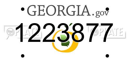 1223877 Georgia License Plate