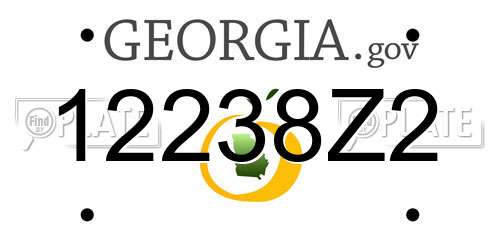 12238Z2 Georgia License Plate