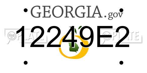 12249E2 Georgia License Plate