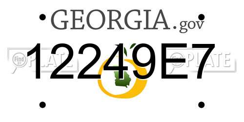 12249E7 Georgia License Plate