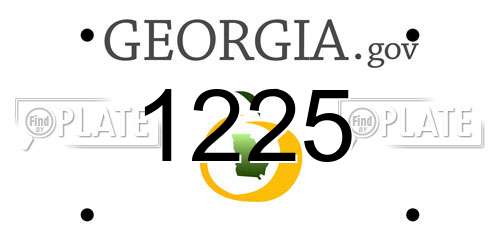1225 Georgia License Plate