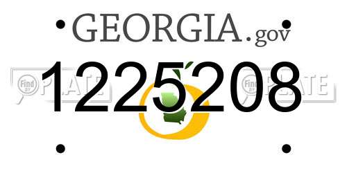 1225208 Georgia License Plate