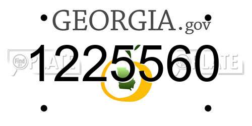 1225560 Georgia License Plate