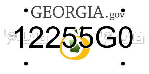 12255G0 Georgia License Plate