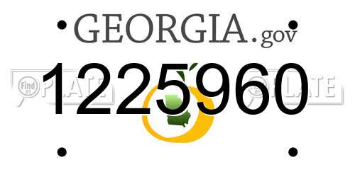 1225960 Georgia License Plate