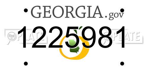 1225981 Georgia License Plate