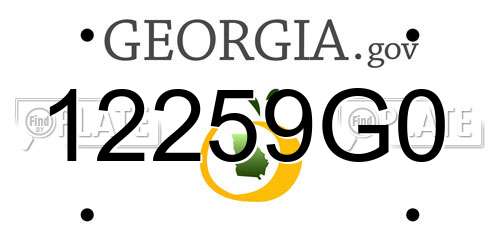12259G0 Georgia License Plate