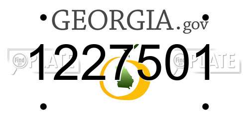 1227501 Georgia License Plate