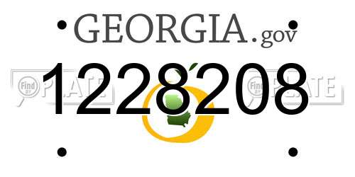 1228208 Georgia License Plate